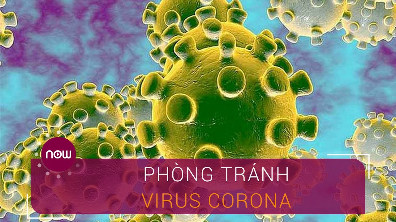 Phòng chống virus Corona đúng cách là bảo vệ sức khỏe của mình